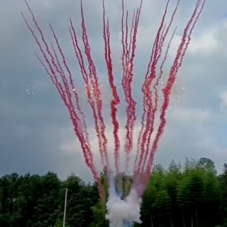 Розовый веерный салют 36 залпов