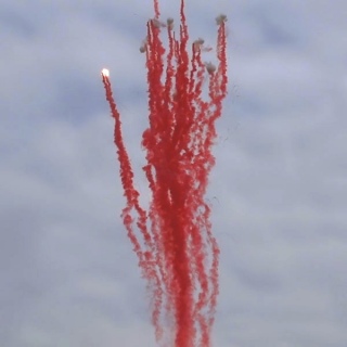 Розовый прямой салют 25 залпов